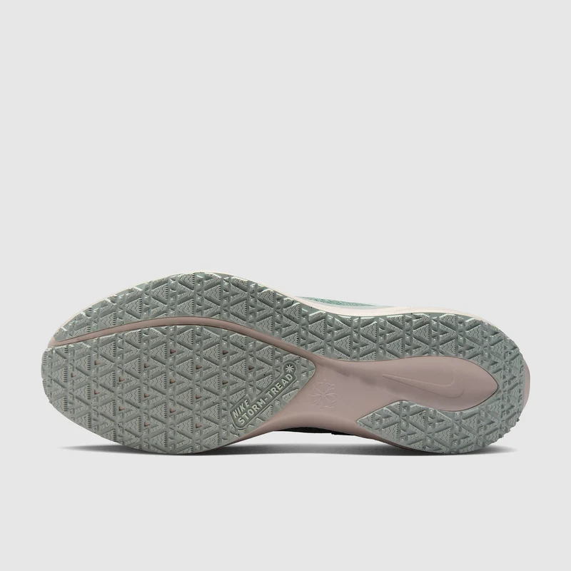 Nike Wasserdichter Straßenlaufschuh (Herren) Pegasus 41 GORE