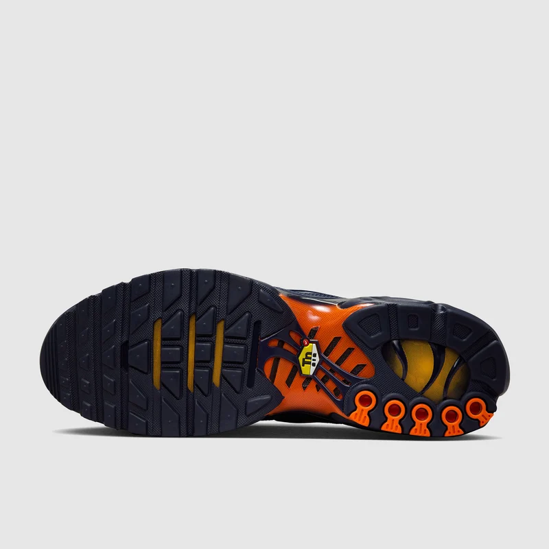 Nike Schuh (Herren) Air Max Plus