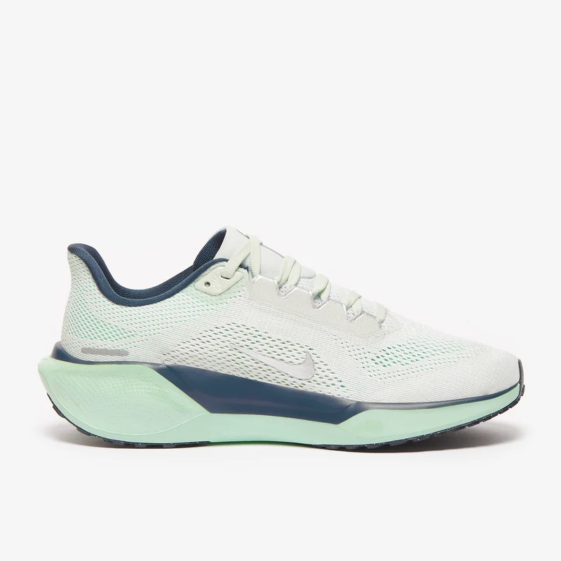 Nike Straßenlaufschuh (Damen) Pegasus 41