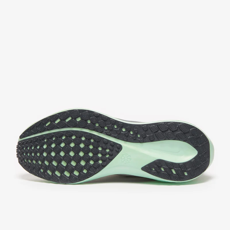 Nike Straßenlaufschuh (Damen) Pegasus 41