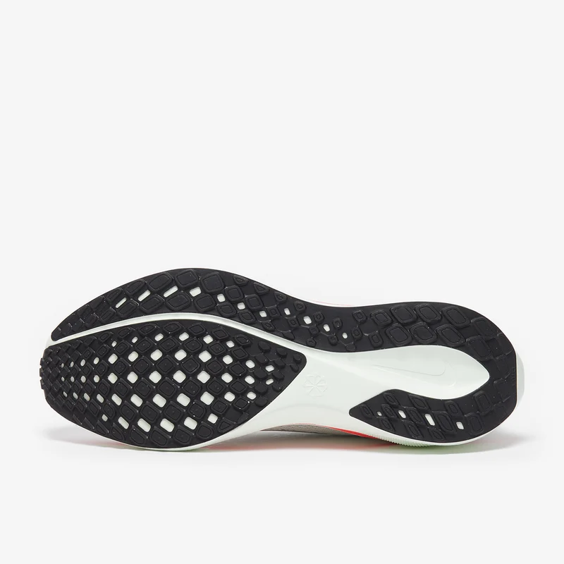 Nike Straßenlaufschuh (Herren) Pegasus 41