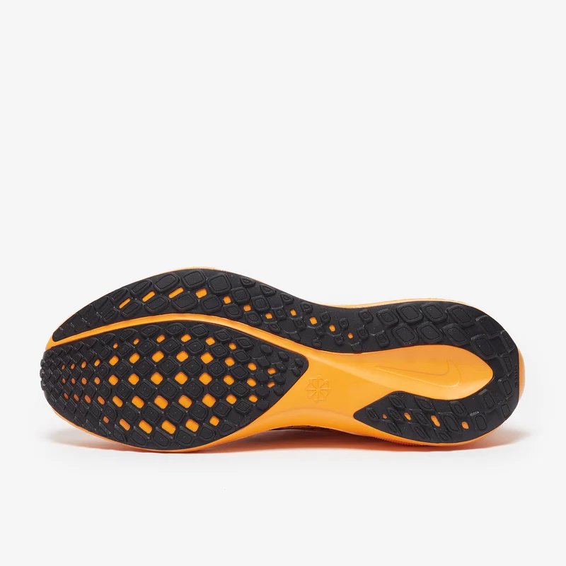 Nike Straßenlaufschuh (Herren) Pegasus 41 LV8