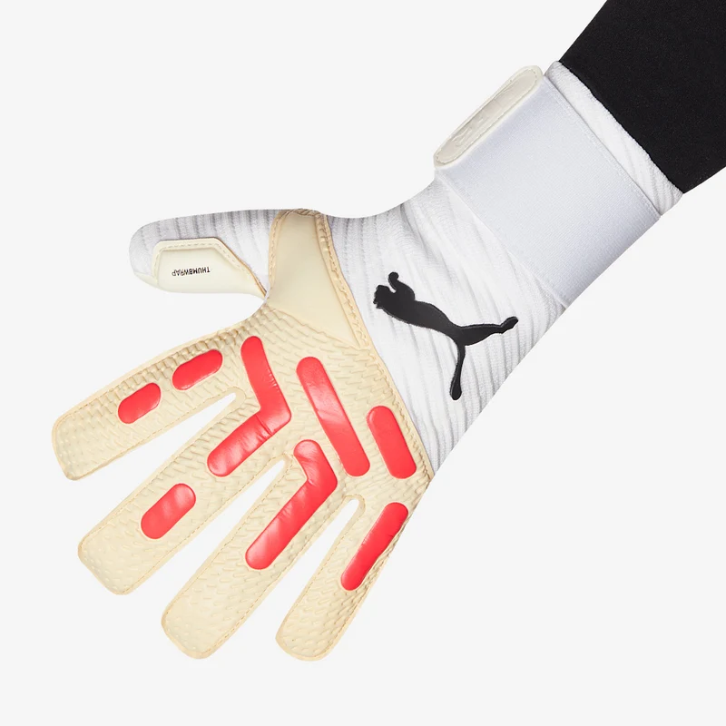 Puma Future Pro