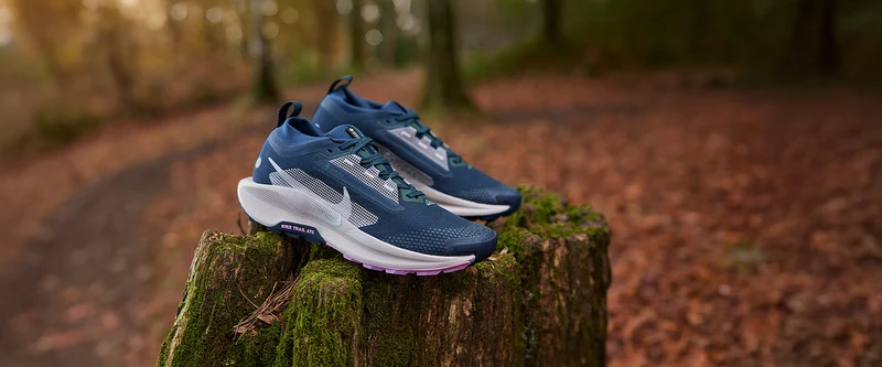 Nike Damen Pegasus Trail 5 GORE-TEX