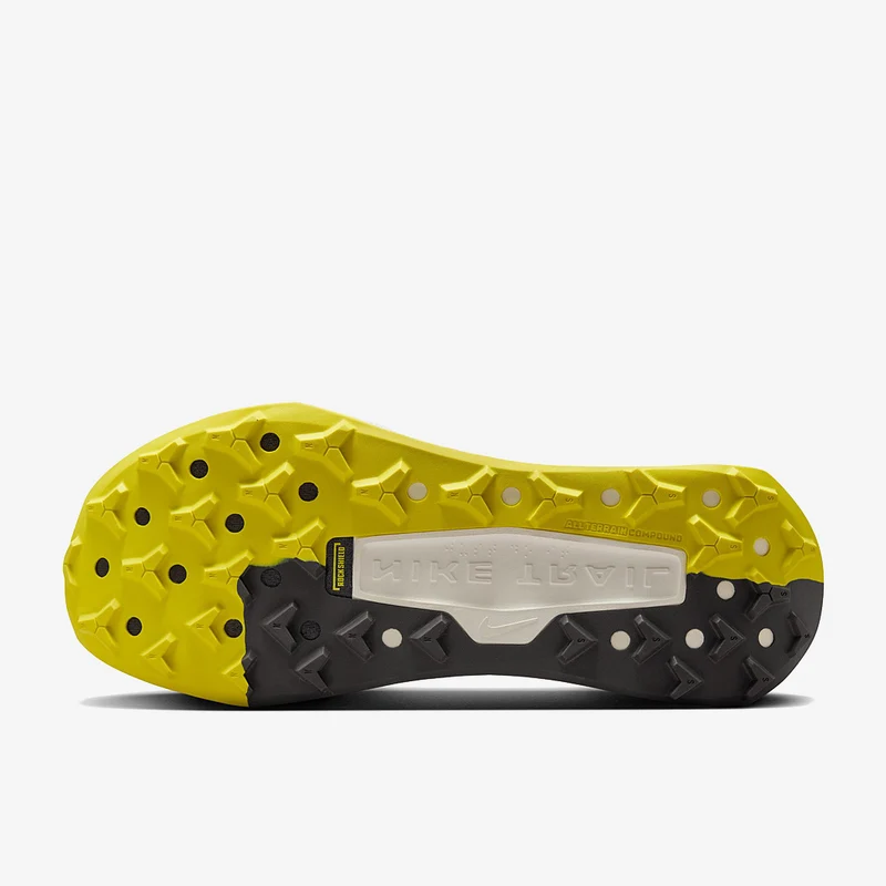 Nike Traillaufschuh (Herren) Wildhorse 10
