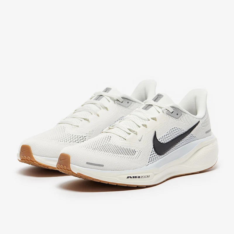 Nike Straßenlaufschuh (Herren) Pegasus 41