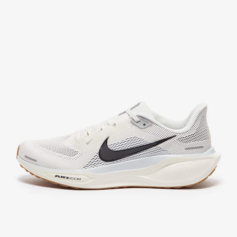 Nike Straßenlaufschuh (Herren) Pegasus 41