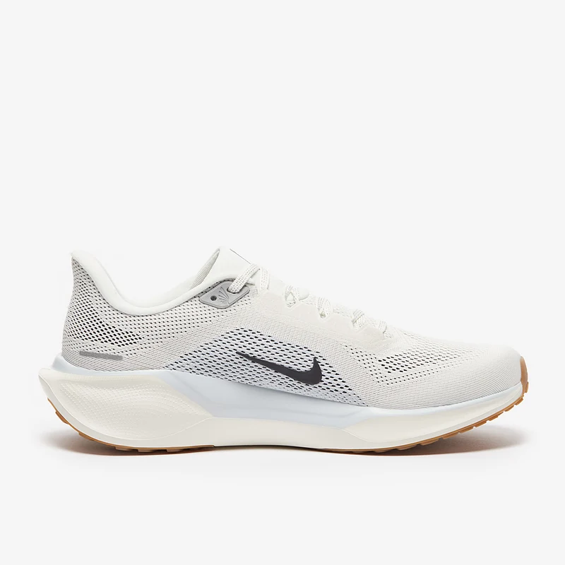 Nike Straßenlaufschuh (Herren) Pegasus 41
