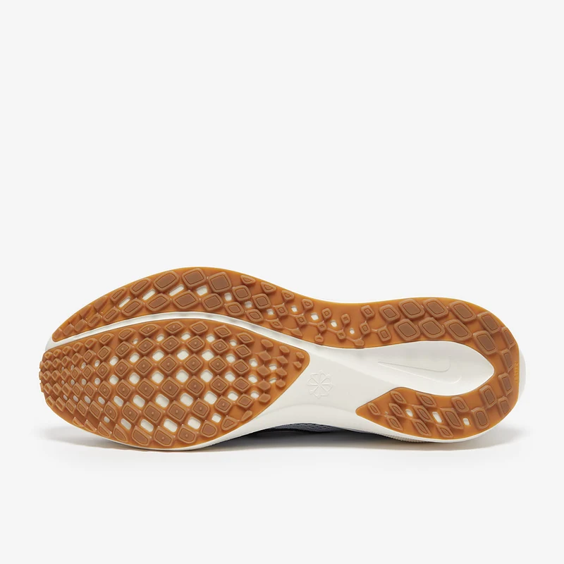 Nike Straßenlaufschuh (Herren) Pegasus 41