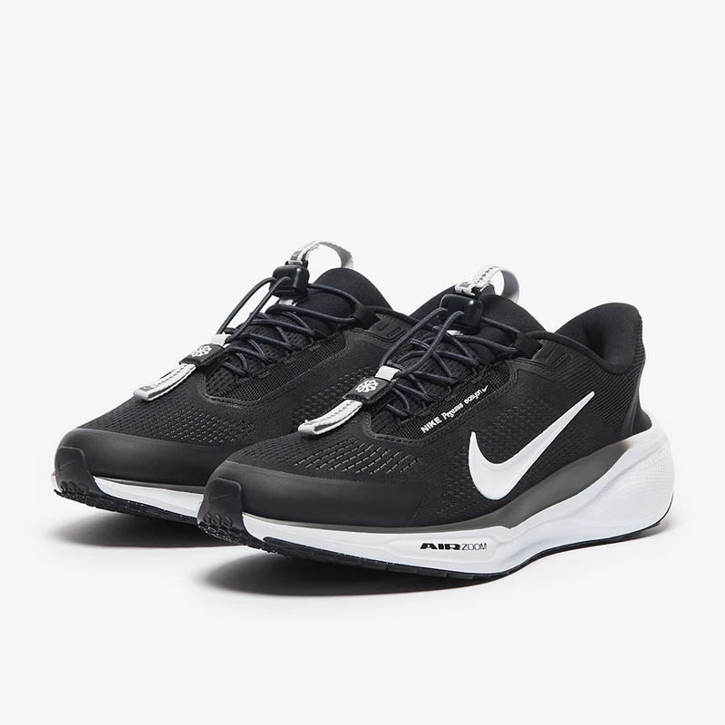 Nike Straßenlaufschuh (Herren) Pegasus EasyOn
