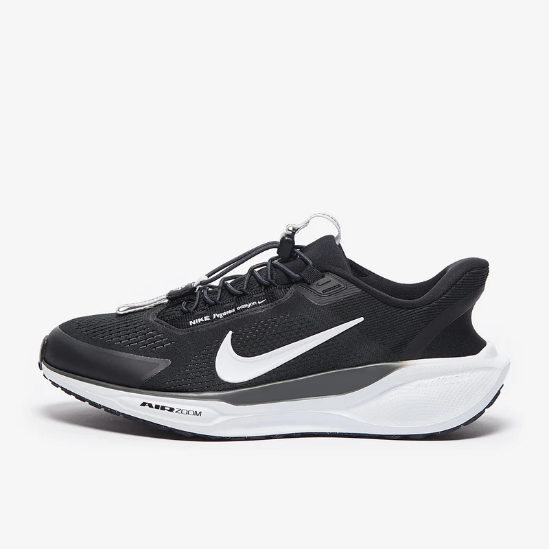 Nike Straßenlaufschuh (Herren) Pegasus EasyOn