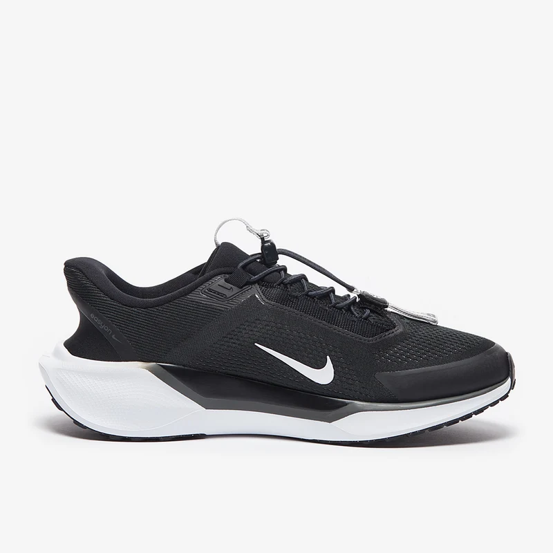 Nike Straßenlaufschuh (Herren) Pegasus EasyOn