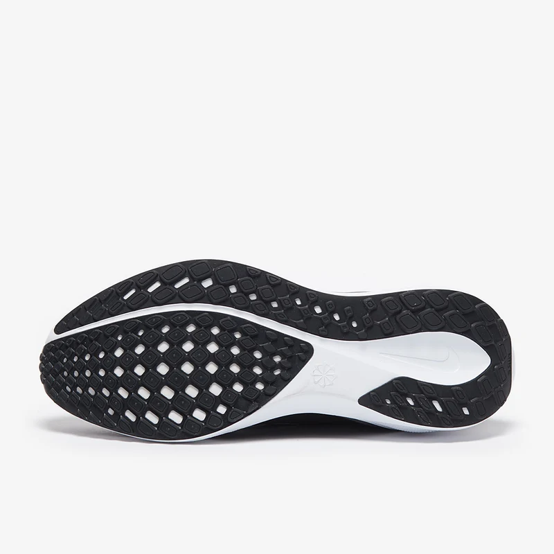 Nike Straßenlaufschuh (Herren) Pegasus EasyOn