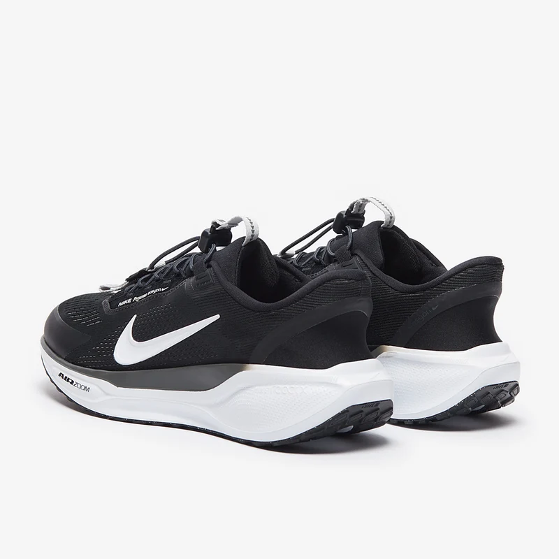 Nike Straßenlaufschuh (Herren) Pegasus EasyOn