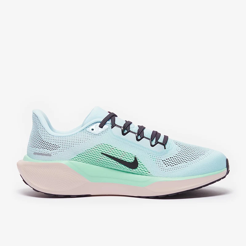 Nike Straßenlaufschuh (Herren) Pegasus 41