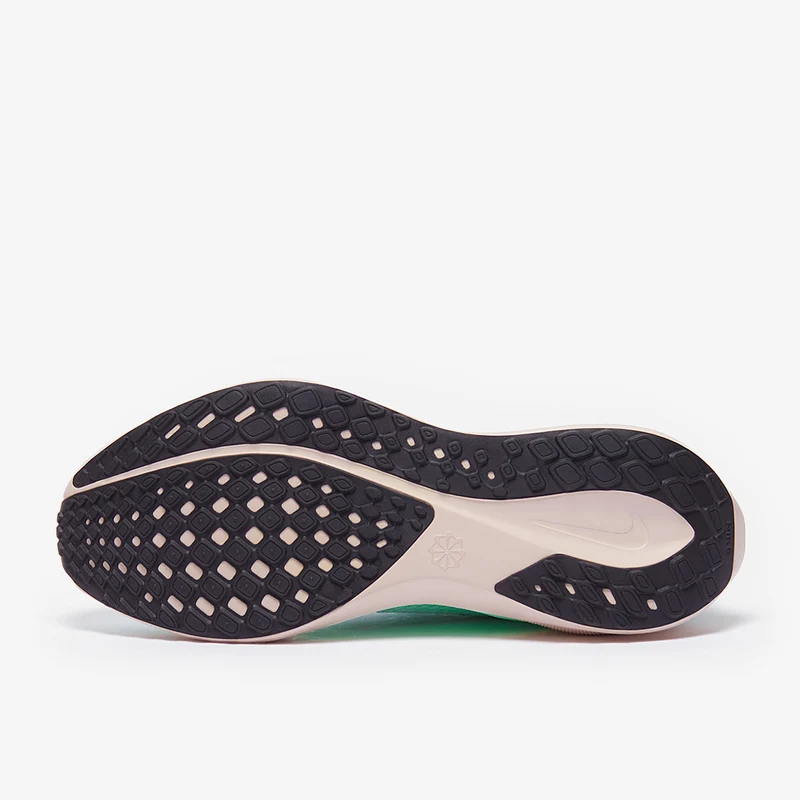 Nike Straßenlaufschuh (Herren) Pegasus 41
