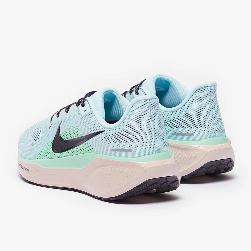 Nike Straßenlaufschuh (Herren) Pegasus 41