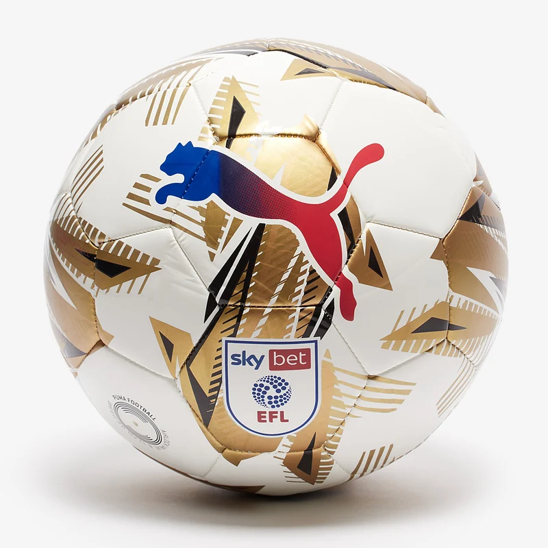 Puma Orbita 6 Sky Bet EFL 24/25 MS Fußball