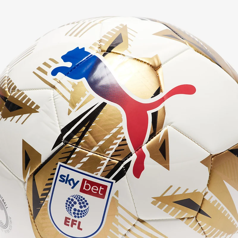 Puma Orbita 6 Sky Bet EFL 24/25 MS Fußball