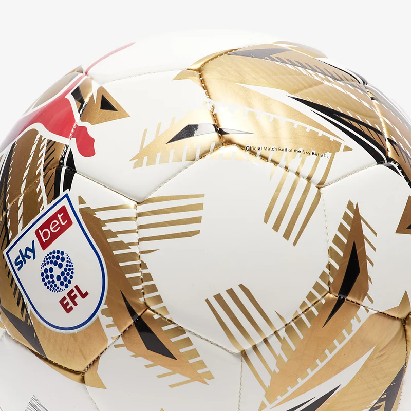 Puma Orbita 6 Sky Bet EFL 24/25 MS Fußball