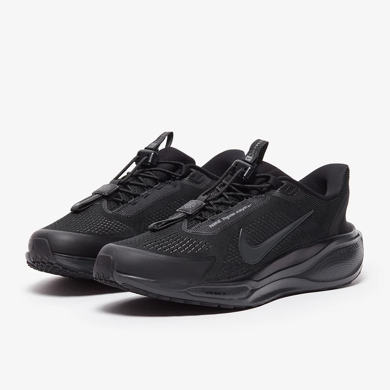 Nike Straßenlaufschuh (Herren) Pegasus EasyOn