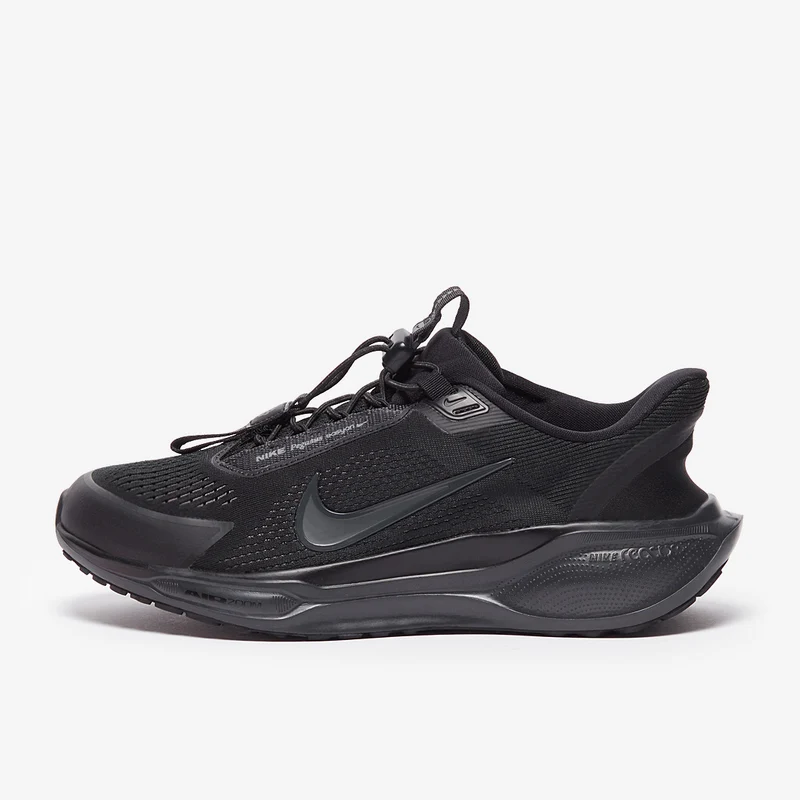 Nike Straßenlaufschuh (Herren) Pegasus EasyOn