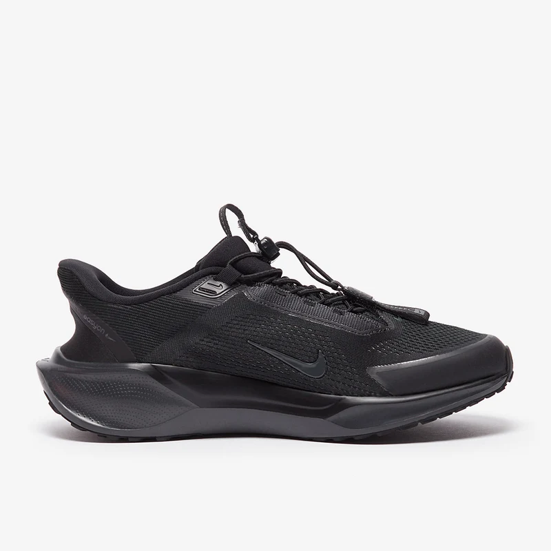 Nike Straßenlaufschuh (Herren) Pegasus EasyOn