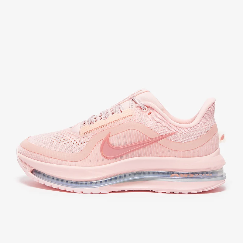 Nike Damen Pegasus Premium