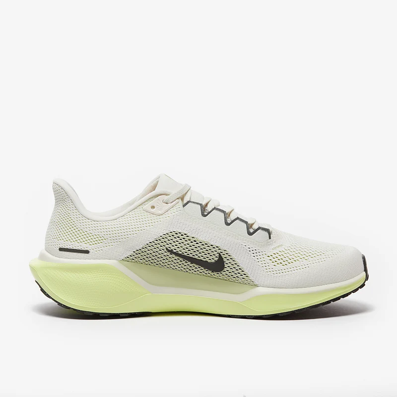 Nike Straßenlaufschuh (Herren) Pegasus 41