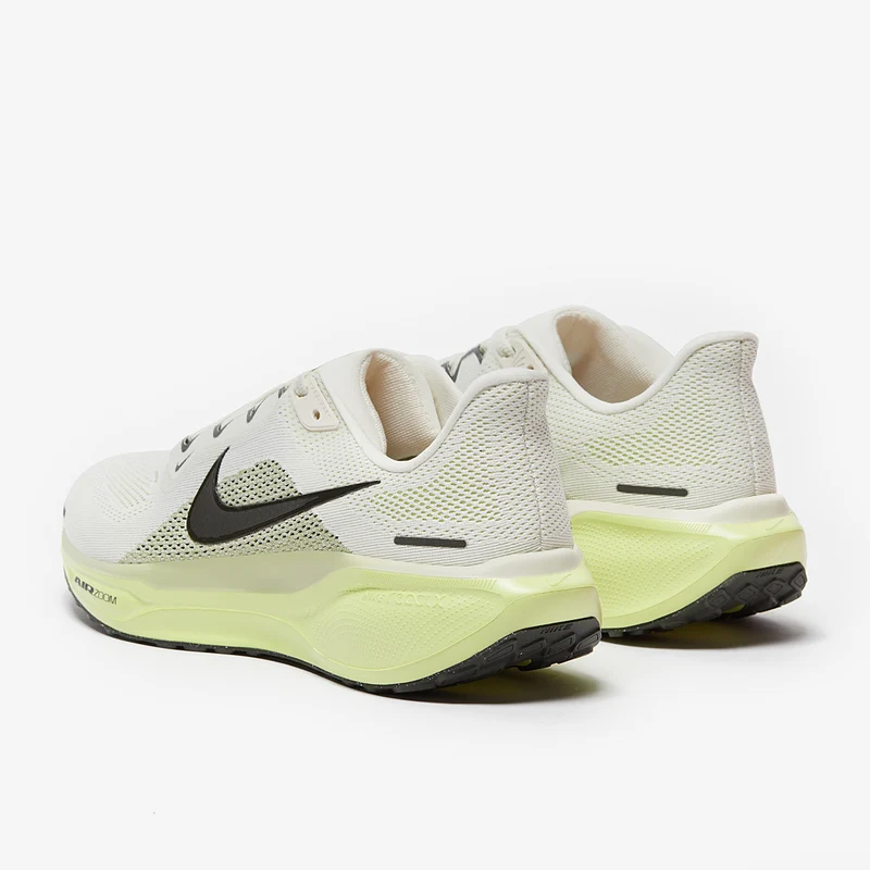Nike Straßenlaufschuh (Herren) Pegasus 41