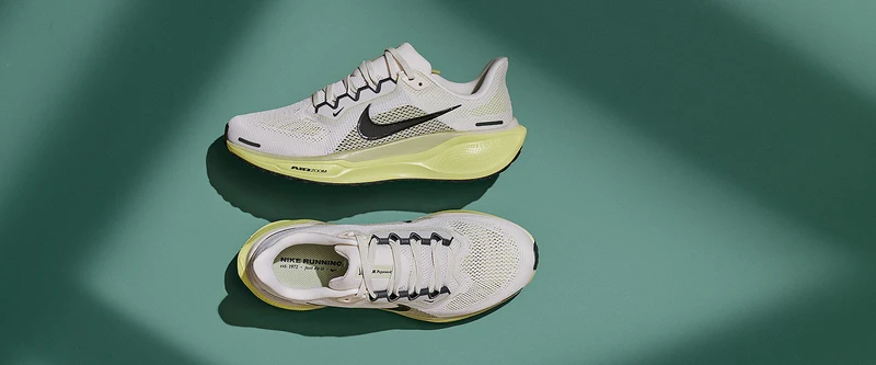 Nike Straßenlaufschuh (Herren) Pegasus 41