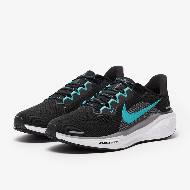 Nike Straßenlaufschuh (Herren) Pegasus 41