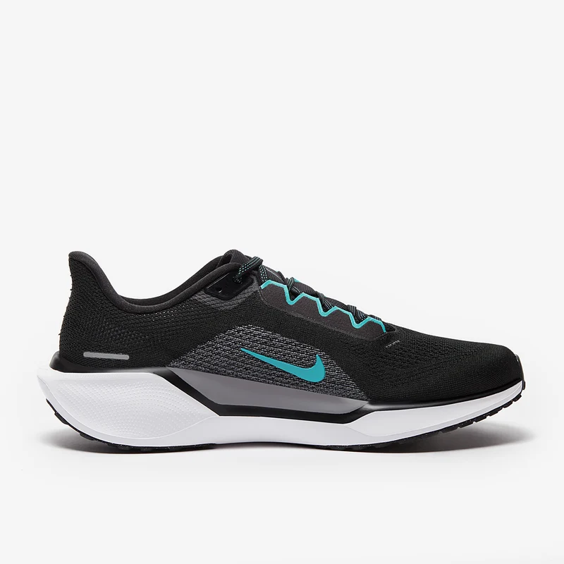 Nike Straßenlaufschuh (Herren) Pegasus 41