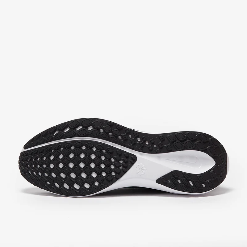 Nike Straßenlaufschuh (Herren) Pegasus 41