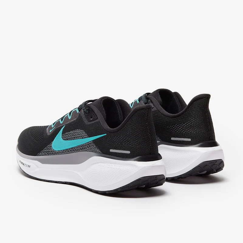 Nike Straßenlaufschuh (Herren) Pegasus 41
