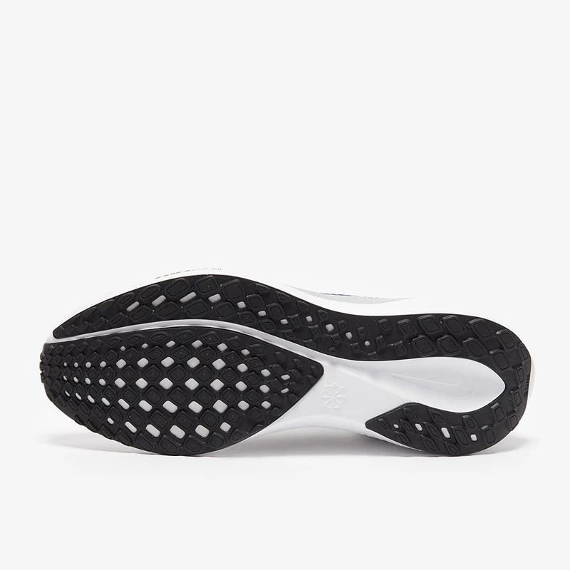 Nike Straßenlaufschuh (Herren) Pegasus 41