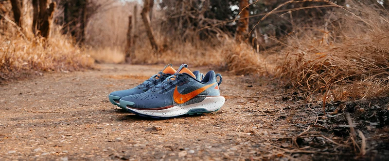 Nike Traillaufschuh (Herren) Pegasus Trail 5