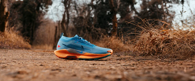 Nike Wasserfester Traillaufschuh (Damen) Pegasus Trail 5 GOR
