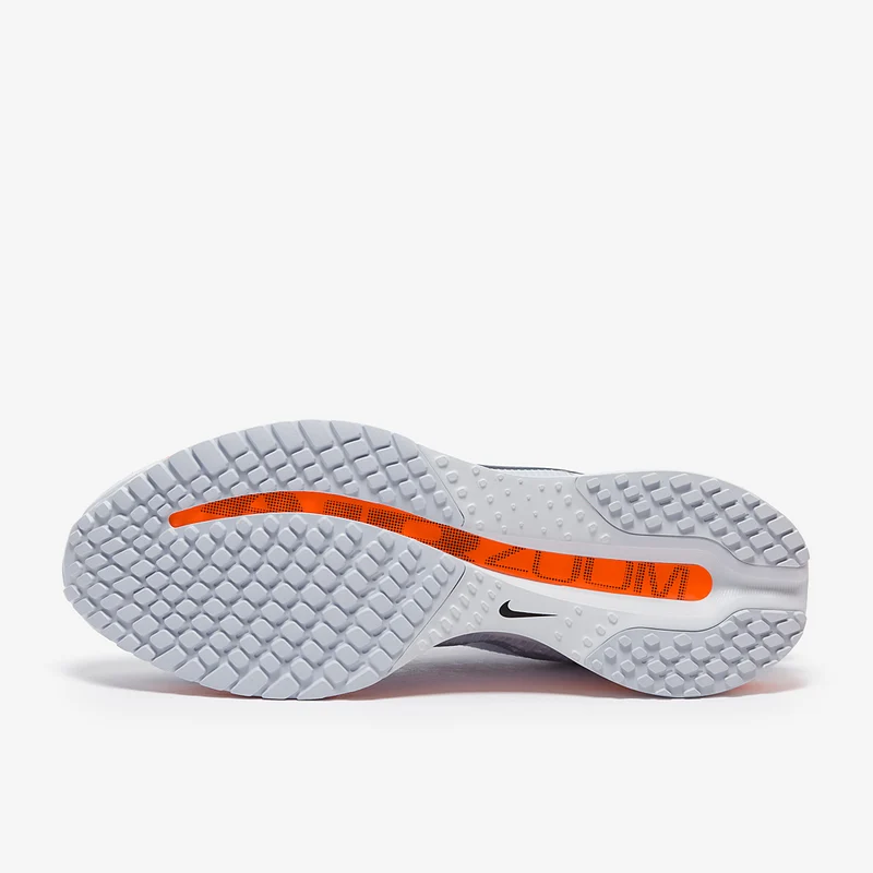 Nike Pegasus Premium
