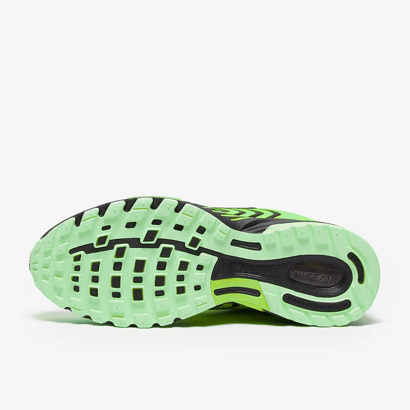 Nike Schuh (Herren) Air Pegasus 2005