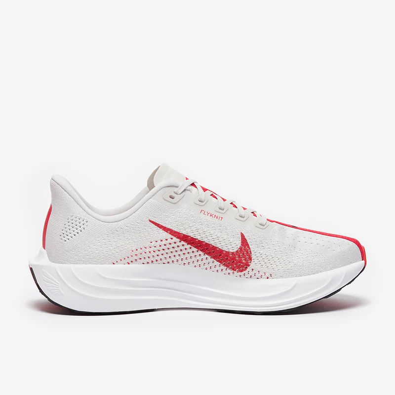 Nike Straßenlaufschuh (Herren) Pegasus Plus