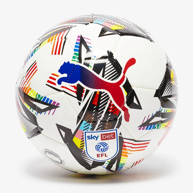 Puma Orbita 6 EFL Sky Bet 24/25 MS Rainbow Fußball