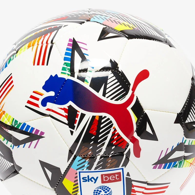 Puma Orbita 6 EFL Sky Bet 24/25 MS Rainbow Fußball