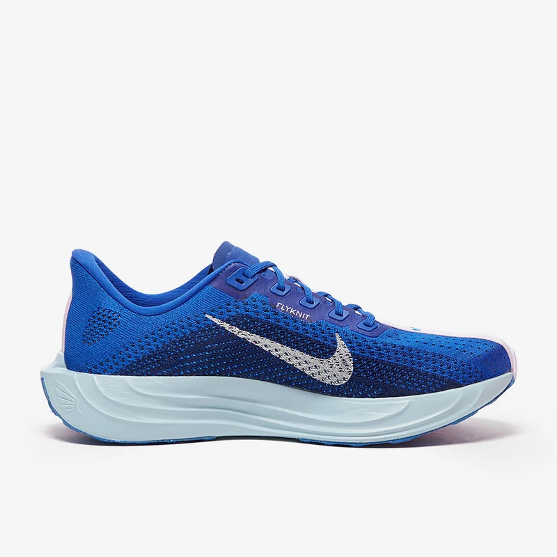Nike Laufschuh Pegasus Plus