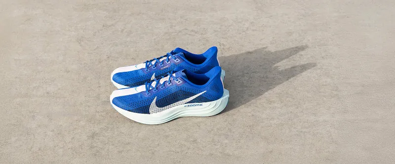 Nike Laufschuh Pegasus Plus