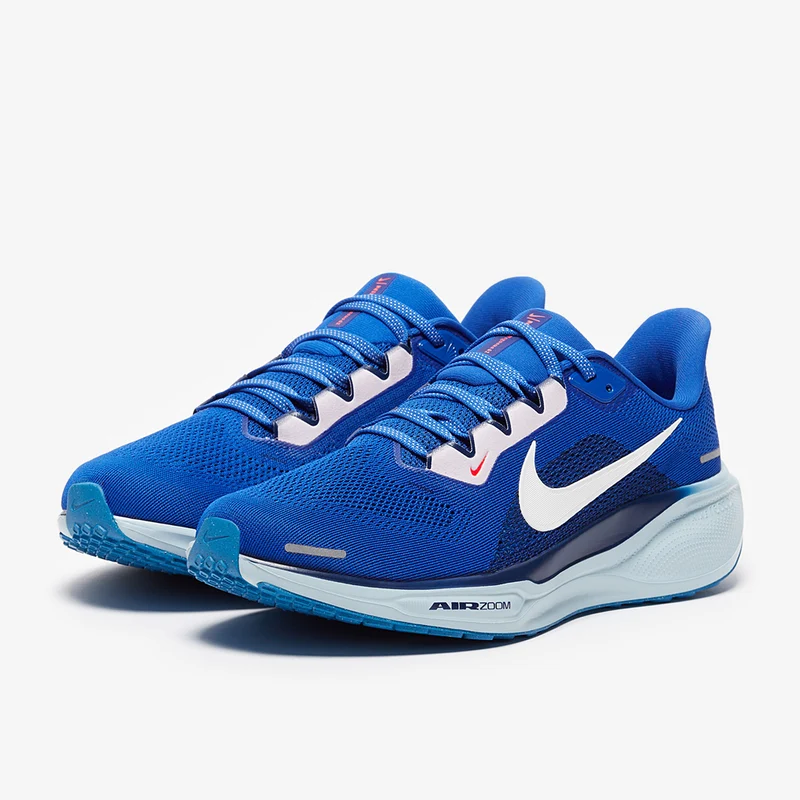 Nike Straßenlaufschuh (Herren) Pegasus 41