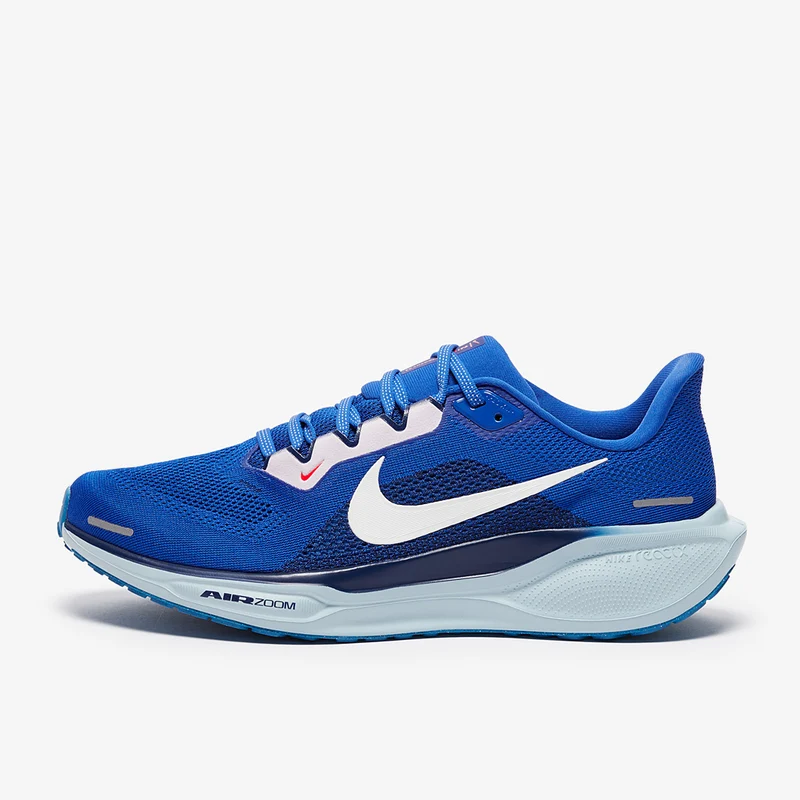 Nike Straßenlaufschuh (Herren) Pegasus 41