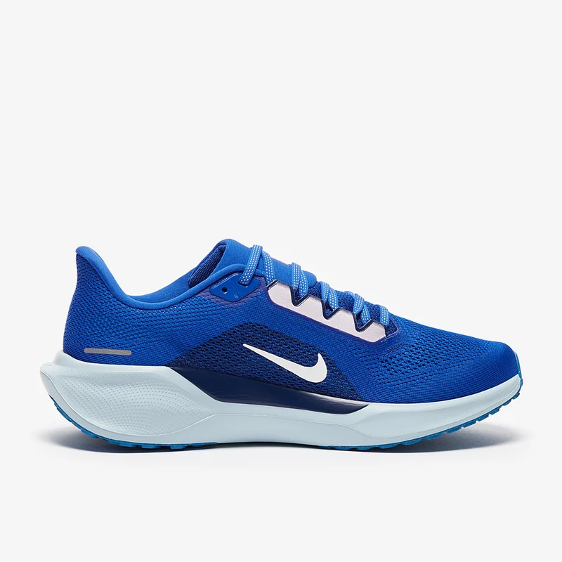 Nike Straßenlaufschuh (Herren) Pegasus 41
