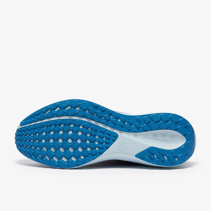 Nike Straßenlaufschuh (Herren) Pegasus 41