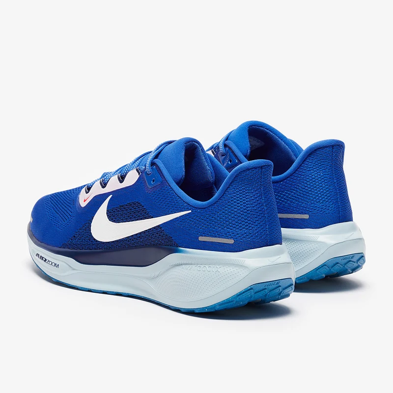 Nike Straßenlaufschuh (Herren) Pegasus 41